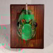 Image of  Candy Green - Valency x DrilOne