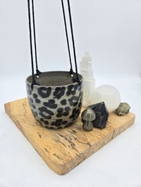 Image 2 of Leopard Hanging Planter