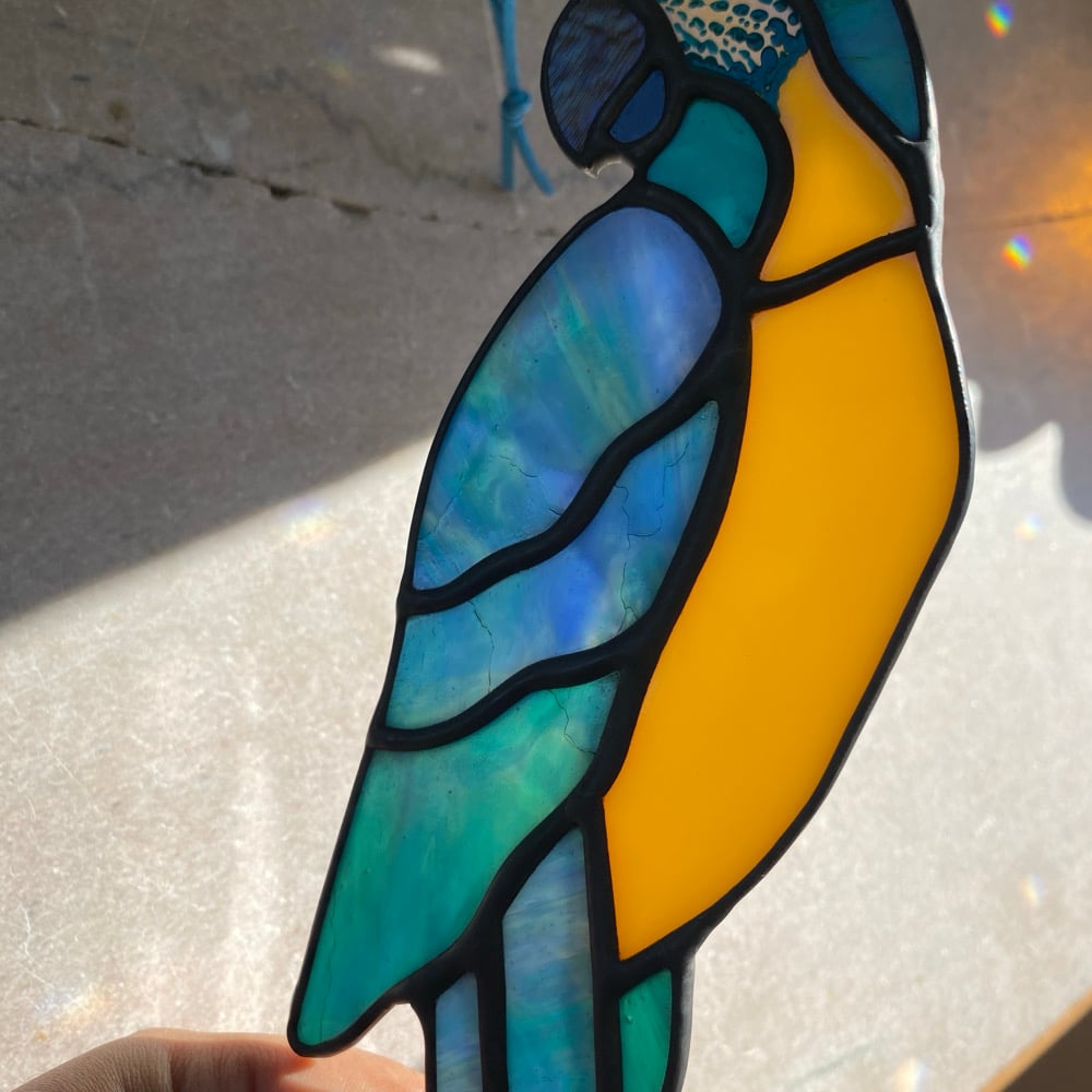 Image of Blue Throated Macaw