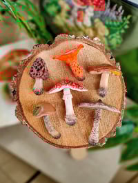 Image 1 of Grzybowe magnesy na lodówkę 