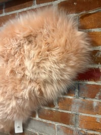 Image 4 of PINK TONGUE