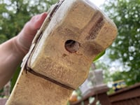 Image 4 of Curly 'Bonnie' Spider Plant in Resin Elephant