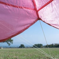 Image 5 of PRE-ORDER Smock Sixty-Six