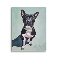 Image 4 of Little Pittie