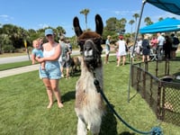 Image 10 of Boo At The Zoo, horse rides, pumpkin painting, hay rides, MORE!