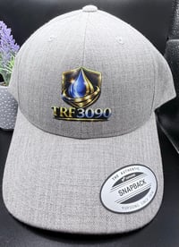 Image 2 of TRF HAT GREY