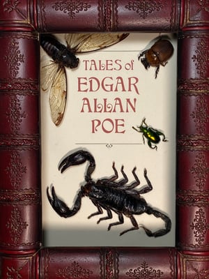 Image of Edgar Allen Poe