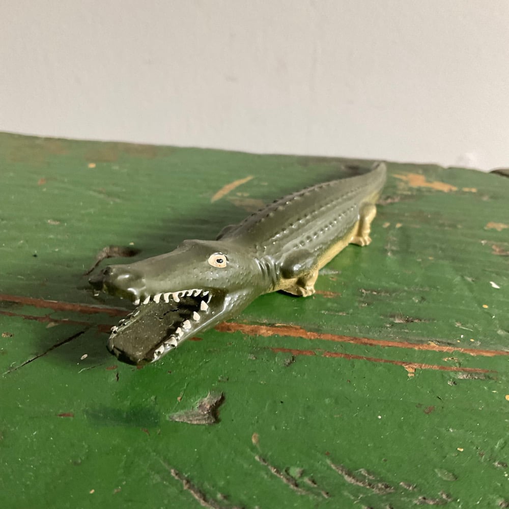 Image of Aligator