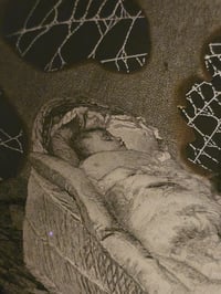 Image 6 of Statement "Lullaby"  1897 Taxiderny orbweaver Spider & Preserved Web