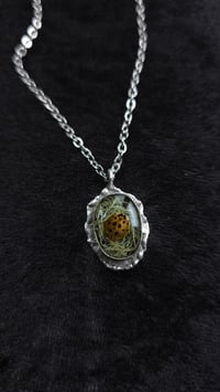 Image 5 of Ladybird pendant oval