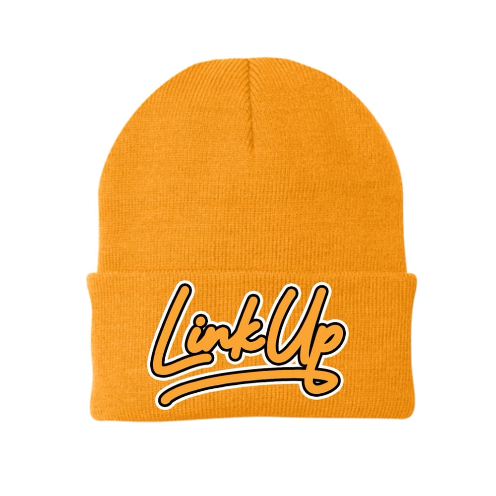 Link Up Beanies