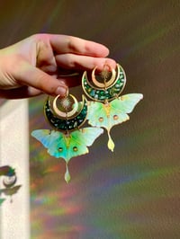 Image 6 of 🌙💚Luna Moths💚🌙