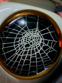 Image 5 of White And Gold URN with Real Preserved Web - 3