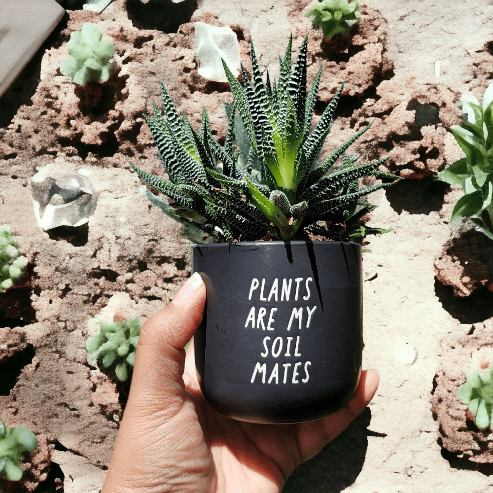 Image of Plants Are My Soil Mates Planter