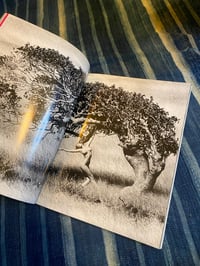 Image 7 of Elles, Marco Glaviano, 1992 