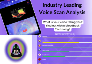 Image of Biofeedback Session