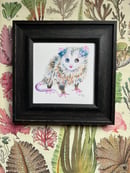 Image 2 of Opossum Joey