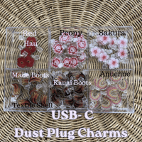 Image 2 of Dust Plug Charm (USB-c Charger)