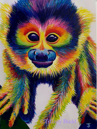 Image 1 of Sid the Squirrel Monkey Print 
