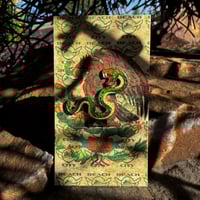 Image 5 of Viva México Blip