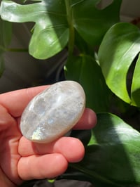 Image 3 of Moonstone Palm Crystal (9)