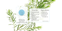 Image 4 of Cleansing Tea Tree Oil Blend