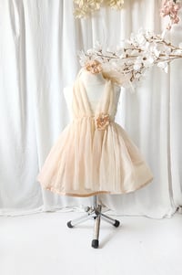 Image 1 of Betty tulle dress size 2-4 years | photo props | light peach