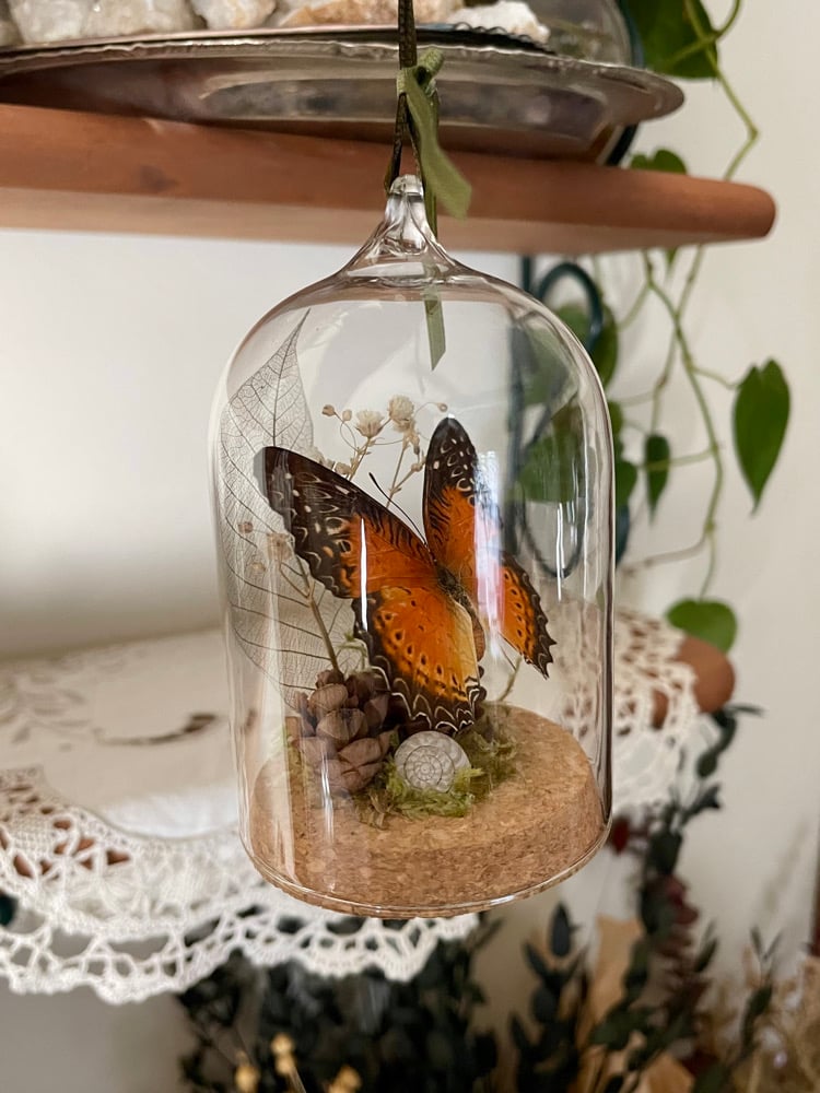 Image of Butterfly Ornament II