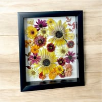 Image 4 of Indian Blanket, Nasturtium, Sunflower & Red Cone Wildflowers In 8" X 10" Shadow Box (Item# 202204LS)