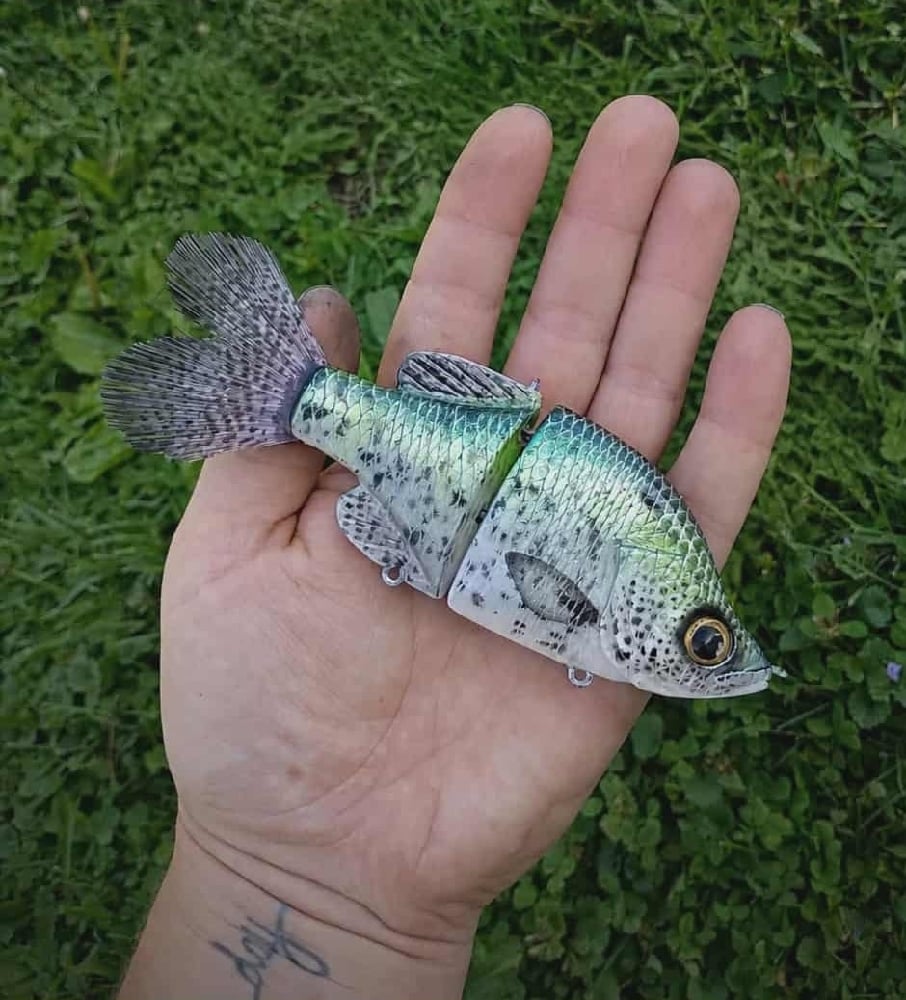 Image of 6 inch Crooked Crappie