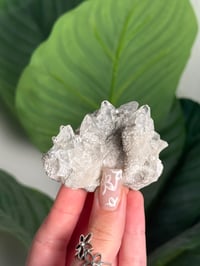 Image 2 of LINWOOD CALCITE -IOWA- A
