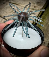 Image 2 of “SWEETGUM” - BLUE CRAW
