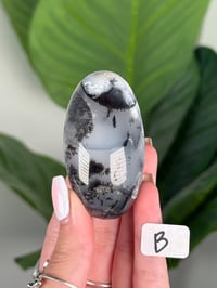Image 2 of DENDRITIC OPAL SHIVAS