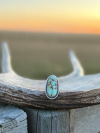 Image 3 of The Golden Range