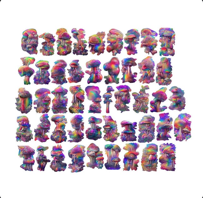 Noah Travis Phillips “Mushrooms of Mycolandia”