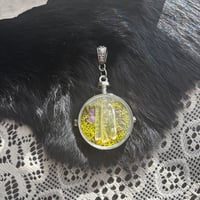 Image 1 of Lg Curiosity Locket II