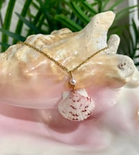 Image 1 of Scallop Shell Necklace N194