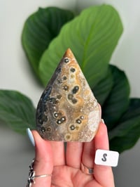 Image 19 of CHOOSE YOUR OWN SEA JASPER FLAME -MADAGASCAR-