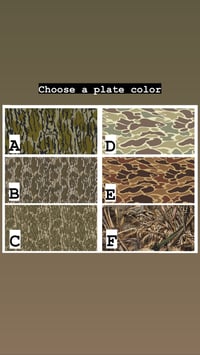 Image 2 of Busch Light (Color) Build A Beer Plate