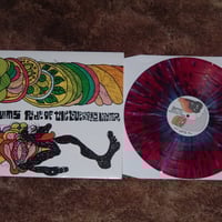 Image 2 of The SW!MS - Ride of the Blueberry Winter LP