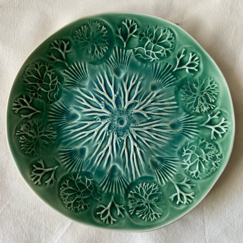 Image of Rockpool plates (F)