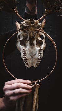 Image 2 of Deer Skull Hanger