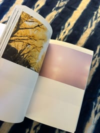 Image 4 of The eyes, the ears- Rinko Kawauchi, 2005