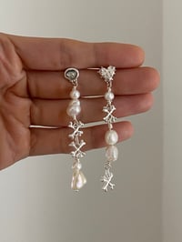 Image 1 of skull earrings