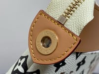 Image 6 of LV Coloured Pouch