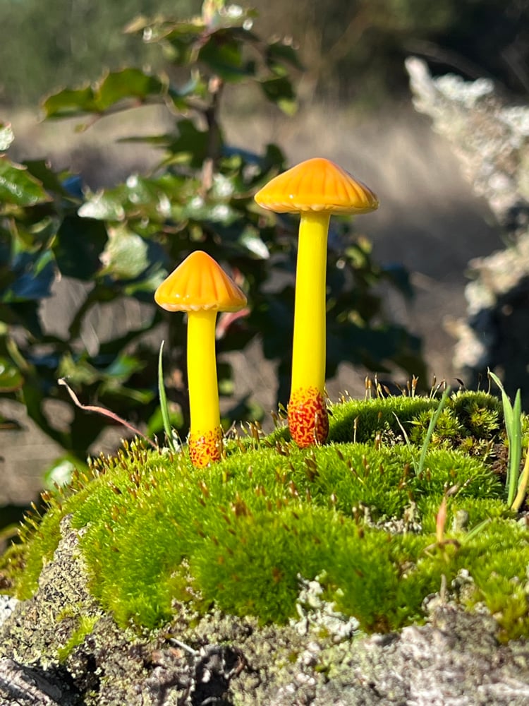 Image of 2 Yellow & Orange Mushroom Plant Spikes