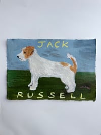 Jack Russell