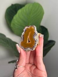 YELLOW CONDOR AGATE -ARGENTINA- #16
