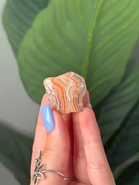Image 1 of TUMBLED AGATE #42 -MALAWI-
