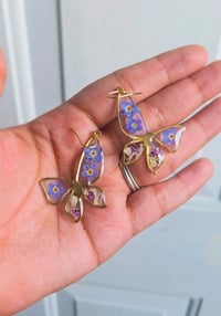 Forget me not Butterflies 